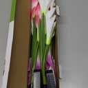 KOOPER Outdoor Solar Lights, 4 Pack Solar Garden Light with Bigger Lily Flowers, Waterproof 7 Color Changing Solar Lights Outdoor - Bigger Panel for Patio Yard Garden Decoration, Gift for Mom