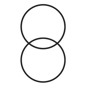 27001-0061S Tank O-Rings Fit for Pentair Sta-Rite System 2 PLM/PLD Series Pool and Spa Filter Tanks, 2-Pack