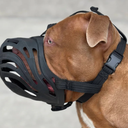 Muzzle | Flexi & Legal Requirement - Black, Size 5