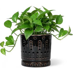Eightpot 6 Inch Plant Pot, Ceramic Pots for Plants with Drainage Hole and Saucer, Round Planter for Indoor Outdoor Plants, Modern Decorative Flower Pots, Bedroom Decor, Gifts for Plant Lovers, Black