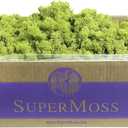 SuperMoss (21773) Reindeer Moss Preserved