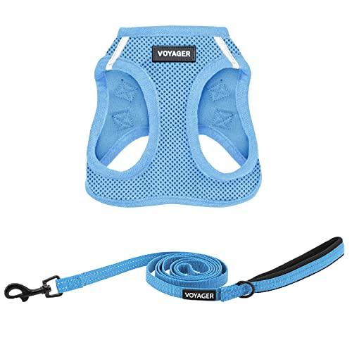 Best Pet Supplies Voyager Step-in Air All Weather Mesh Harness and Reflective Dog 5ft Leash Combo with Neoprene Handle, for Small, Medium and Large Breed Puppies - Baby Blue, X-Small