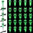 30 Pcs Mini Glow in the Dark Hair Clips Rave Hair Clips for Women Carnival Music Festival Holiday Party Supplies (Alien)