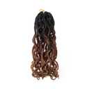 New Goddess Locs Crochet Hair,12" Faux Locs Crochet Hair Hippie Locs Synthetic Extension Ombre Crochet Locs Boho Style Crochet Braids (2 Packs 1B/30/27, 12")