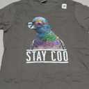 Stay Coo - Pigeon Lover, Animal Lover, Birds Owner T-Shirt (Small, Asphalt Grey)