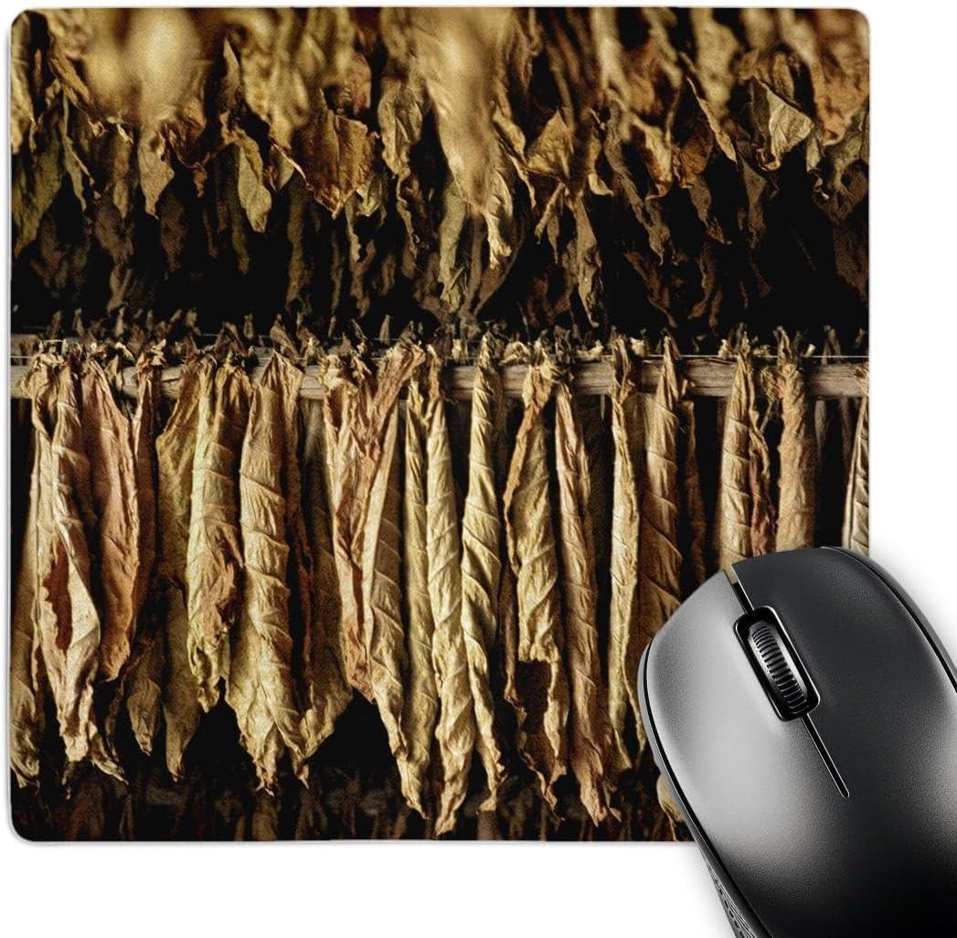 3D Rose "Dry Tobacco Leafs in A Plantation in Pinar Del Rio in Cuba" Matte Finish Mouse Pad - 8 x 8" 