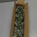 Mixed Eucalyptus Leaves Stems Bulk Artificial Eucalyptus Leaves Sprays Faux Oval Eucalyptus Leaves with White Seeds Stems for Floral Wreath Garland Bouquets Arrangement Wedding Greenery Decoration