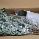 Artificial Fake Olive Tree 7FT Tall 1Pack Faux Silk Olive Tree for Home Living Room Office Decor Faux Artificial Plants Indoor Fake Potted Plants with Fruit & Free Moss