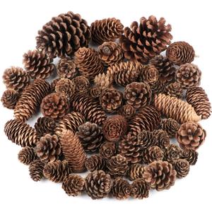 Jangostor 60 Pine Cones Decorations - Natural Bulk Package, Large Medium & Mini Sizes - Rustic Pine Cone Ornaments for Table, Christmas Tree, Crafts, Gifts, Thanksgiving, Xmas Home Decor