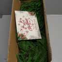 2Pcs 6 Ft Artificial Norfolk Pine Garland with 50 LED Lights,Winter Pine Christmas Garland with Lights,Real Touch Faux Greenery Garland for Mantle Fireplace,Table,Window,Outdoor Christmas Decorations