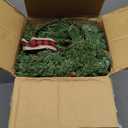 12 Pcs Small Christmas Wreath, Norfolk Pine Wreaths, 14in Mini Wreaths for Cabinets Christmas Candle Rings with Ribbon for Kitchen Window Decor, Mini Decorative Hanging Wreath for Xmas Decor