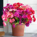 6 Bundles Artificial Hibiscus Flowers - UV Resistant Fake Tropical Silk Blooms for Outdoor Window Box, Hanging Baskets & Porch Decor (Multicolor)