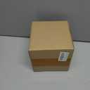 DESHINTKE Real Dandelion Specimen with Wood Round Base Paperweight Desktop Decor Decoration (Style2)