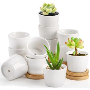 Tosnail 12 Pack 2.5 Inch Small Succulent Pots with 12 Bamboo Trays, Round White Ceramic Mini Plant Pots, Tiny Succulent Planters, Cactus, Flower, Air Plant Containers, Modern Home and Office Decor
