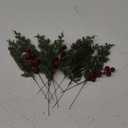 Artificial Faux Christmas Norfolk Pine Stems Branches for Vases,35 Bundles Fake Evergreen Real Touch Greenery Stem with 10 PCS Red Berry Branches for Xmas Holiday Winter Table Indoor Decor (B)