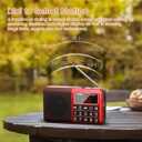 PRUNUS 429 Small Radio, Pocket Radio, AM FM Radios USB Charging, Large Button, Neodymium Speaker, Auto Save, USB Flash Drive, SD Card AUX Input MP3, Shortwave Radios for Elderly and Senior