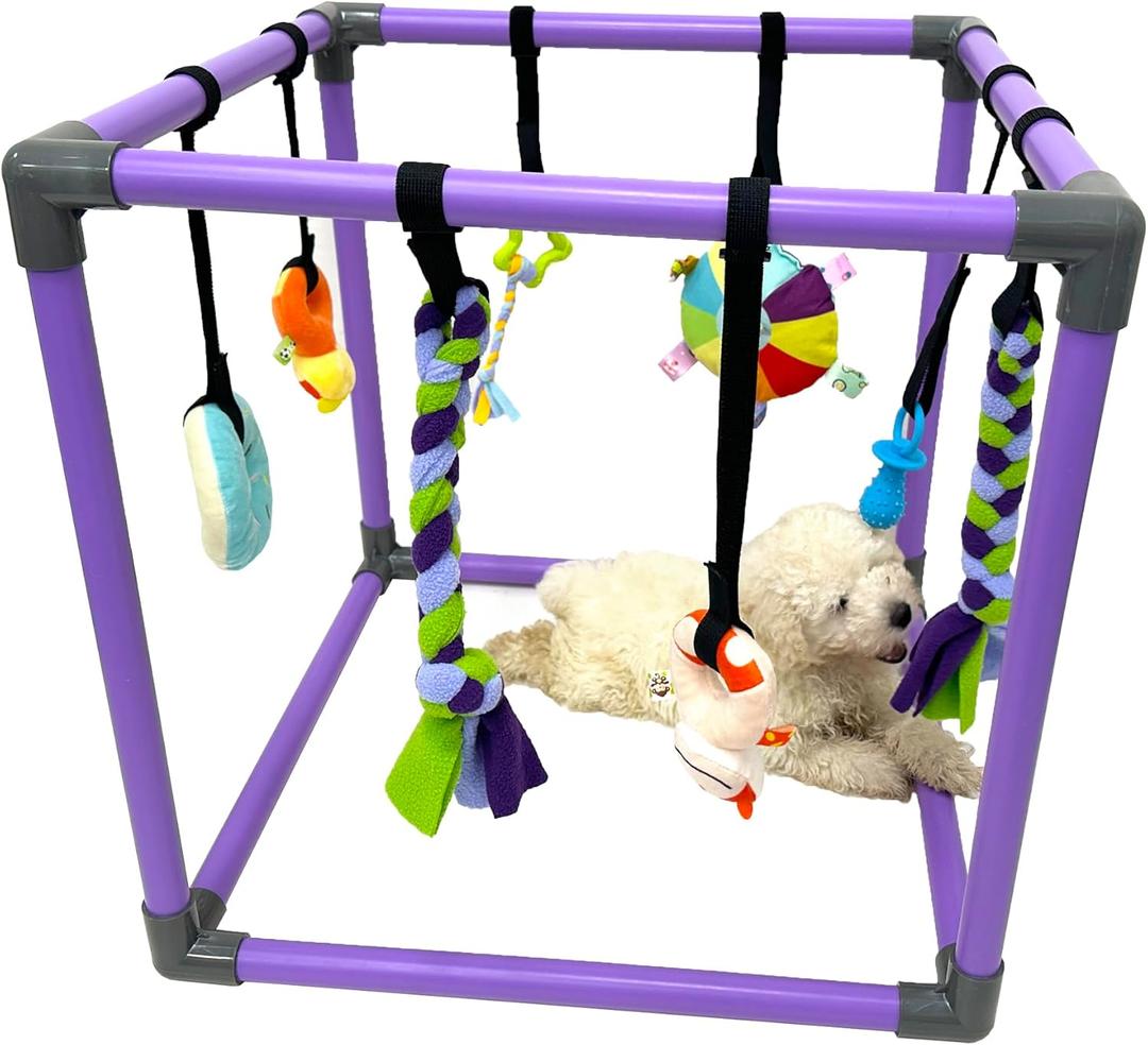 DOZZOPET Puppy Play Gym for Small Dogs with 8 Hanging Toys, Jungle Playground with Interactive Funny Enrichment Toys to Keep Them Busy, Purple