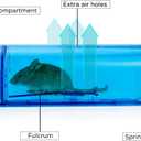 Blinc [2-Pack] Humane Mouse Trap - Catch and Release No-Kill Rodent Traps for Indoors & Outdoors - Safe for Children & Pets - Reusable Mouse Catcher for Kitchen, Pantry & Garage (Transparent Blue)