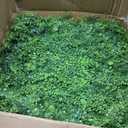 20"x20" Artificial Hedge Grass Wall, 8PCS Boxwood Panels, Greenery Backdrop Panles, UV Protected Privacy Fence Screen, Green Wall Decor for Outdoor Indoor Wedding Dcor (Fern)