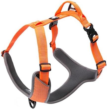 TRUE LOVE Dog Harness Outdoor Adventure II Reflective Vest with 2 Leash Attachments Matching Leash and Collar TLH6071