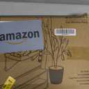 Zakkart Cat Window Perch - 100% Metal Supported from Below - Comes with Warm Spacious Pet Bed - Cat Window Hammock for Large Cats & Kittens - for Sunbathing, Napping & Overlooking (White)