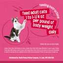 Purina Friskies Gravy Wet Cat Food Variety Pack, Surfin and Turfin Prime Filets Favorites - (Pack of 40) 5.5 oz. Cans (EXP 08/31/27)