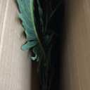 Artificial Palm Tree 30" Tall UV Resistant Tropical Areca Faux Plants Monstera Leaves Floral Arrangement Safari Leaves Party Suppliers Decorations