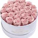 Prifroti 27 Flowers in a Luxury Suede Box, Birthday Gifts for Women, Preserved Flowers, Mothers Day Roses Gift for Mom, Dusty Rose