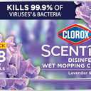 Clorox Scentiva Disinfecting Wet Mop Pad, Disposable Heads, Multi-Surface Floor Wipes, Lavender and Jasmine, 2 Packs, 24 Refills Per Pack