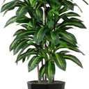 Artificial Dracaena Tree 5FT - Faux Plant with Black Diamond Planter - Tall Fake Tropical Yucca Floor Plant Potted - Artificial Silk Tree for Home Office Living Room Decor Indoor