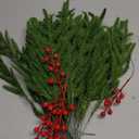 Kesywale Set of 40 Artificial Norfolk Pine Branches with Red Berry 12.8" Christmas Greenery Picks Fake Norfolk Pine Stems Tree Needle Sprigs for Vase Filler DIY Craft Garland Home Decorations (Green)