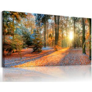 Bamdeya Forest Canvas Wall Art Large Picture Autumn Poster Sunset Tree Wall Decor Natural Landscape Painting Fall Scenery Artwork for Bedroom Living Room Decor Office Home Decorations, Size: 40"L x 20"W