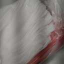 Fruit Cover Bags with Drawstring, 50pcs 10x10 Inch Garden Netting Fruit Protection Bags for Plant Flowers Vegetables Trees Away Bugs Birds Flies