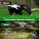 24 Pack Skunk Repellent Outdoor - Raccoon Repellent for Indoor Outdoor, Natural Peppermint Oil Mole Repellent Safe for Pets & Kids Repels Skunk Raccoon
