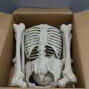 JOYIN 5 FT Halloween Skeleton Life Size, Stayable Posable Skeleton Decor, Full Body Movable Joints Giant Skeletons for Halloween Decoration Outdoor, Haunted House Prop, Spooky Scary Graveyard Party