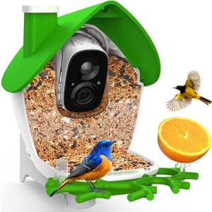 birdsnap MON - Bird Feeder with Camera, 2K Detachable Video Bird Feeder Live with 32GB Card Fruit Fork, AI Identify Feather Species, Auto Record in Backyard, Ideal Gift for Birds Lover (Green)