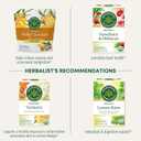 Traditional Medicinals Tea, Organic Ginger, Healthy Digestion, Pleasantly Spicy & Warming, 16 Tea Bags