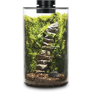 Desktop Glass Plant Terrarium with Grow Light (H:9.8" D:5.9"), for Succulent, Moss, Miniature Gardening Landscape, Betta Fish Tank, Office Home Decoration, Plant Lovers Gifts