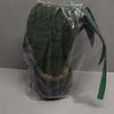 Ollain Artificial Snake Plant with Potted 23.6" Fake Plastic Sansevieria Faux Plants in Pot for Outdoor Window Box Verandah Planter Indoor Outside Home Garde Office Room Gardening Decoration (Green)