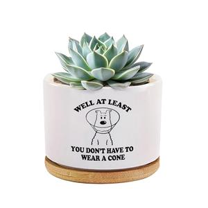 Loovelo Well at Least You Don’t Have to Wear A Cone Recovery Gifts Ceramic Succulent Plant Pot with Bamboo Tray Round Get Well Soon Gifts After Surgery Plant Lover Decor 3.5 Inch White (No Plants)