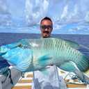 Fishing Hooks-Live Shrimp Fixed Hooks Carbon Steel Barbed with Holes,2/3/4Catfish Bass Fishing Hooks,That Can Adapt to Various Fishing