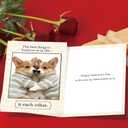 3 x Cute Dog Valentines Day Card for Husband, Wife, Boyfriend or Girlfriend  Romantic Valentines Gift for Him or Her (WY-510)