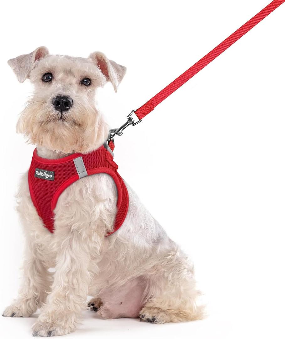Rabbitgoo Dog Harness Small Sized and Leash Set, Step in Soft Light Puppy Vest, Breathable Mesh Pet Harness, Reflective for Outdoor Safe Walking, Red XXL (Chest: 21.6 - 23.7"))