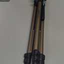 Amazon Basics 50-inch Lightweight Portable Camera Tripod Stand with Quick-Release Plate, Adjustable Height, Aluminum, for Travel Photography, Champagne