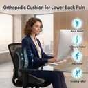 Ergonomic Seat Cushion with Lumbar Support（Black）