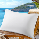 LBRO2M Canadian Down White Goose Pillow 900 Fill Power 80% Goose Down100% Cotton Pillow Shell Queen Size Bed Pillows Balance of Softness and Firmness (20"X30" Pack of 1)