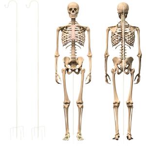 2 Sets Skeleton Stand Pose Stay Metal Stand for 6.56 ft Tall Skeletons Halloween Decor Accessories, Skeletons Not Included(White)