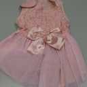 ASENKU Dog Dress Pet Wedding Dress Princess Lace Puppy Birthday Party Outfit Formal Apparel Girl for Small Medium Dogs Cats (Large, Pink)