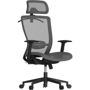 FLEXISPOT Ergonomic Office Chair, High Back Mesh Swivel Computer Chair, Executive Office Desk Chairs, with Adjustable Lumbar Support/2D Headrest/Lockable Backrest, OC3 Mesh Seat, Gray (Grey)