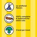 Temptations Jumbo Stuff Crunchy and Soft Cat Treats, Savory Salmon Flavor, 14 oz. Tub